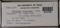 Image Associated With the Occurence